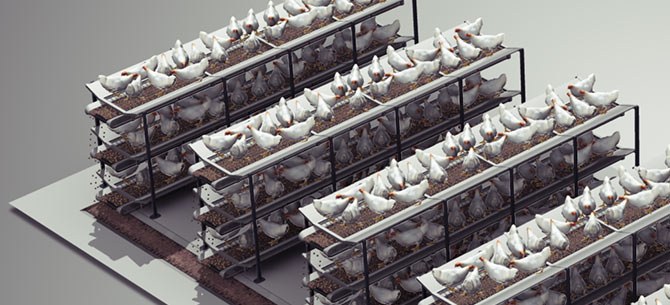 Dorset Drying Technologies